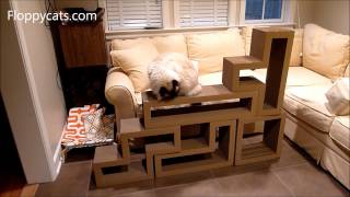 Ragdoll Cats Receive Papercut Lab Katris Cardboard Cat Scratchers for Review  ねこ  Floppycats [upl. by Duval]