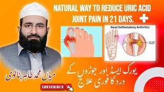 Control Uric AcidJoint Pain and Swelling with natural way l Uric Acid ka Ilaj [upl. by Ostap]