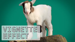 🎨 How to Create a Vignette effect   PhotoDirector 12365 Tutorial [upl. by Roslyn]