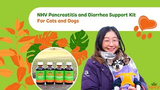 NHV Pancreatitis and Diarrhea Support Kit For Cats and Dogs [upl. by Capwell]