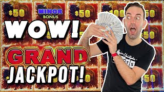 I WON the GRAND JACKPOT on BUFFALO LINK [upl. by Carli814]