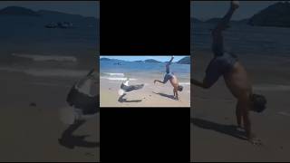 Very funny seagull seagulls sea funnypets birds funnybirds beak beach fly fun comedy [upl. by Reivazx864]