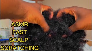 ASMR Scalp Scratching amp Combing Curly Afro Very Fast Tingles  No talking [upl. by Paschasia]