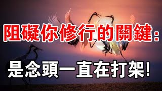 所有修行人都得明白，真正障礙你修行的是：念頭一直在打架！ [upl. by Columbyne]