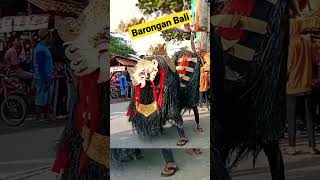 Atraksi Barongan Bali Wong sambeng cirebon shorts [upl. by Maxantia]