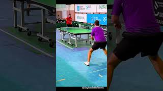 Terrific Point 🏓 Table Tennis Counterattack Topspin [upl. by Fritzsche]