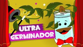 ¡Crea tu propio germinador de semillas Experimento casero [upl. by Ditter]