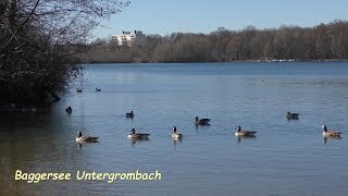 Unser Start in den Frühling 2019 [upl. by Yerak]