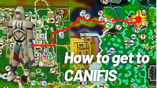 OSRS Agility  Canifis Rooftop 47 Road From Scratch To Max Old School Runescape UnoGamez [upl. by Enajaras]