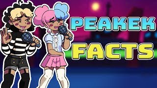 Top 5 Peakek Facts in fnf  Friday Night Fever [upl. by Fayre]