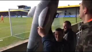 Kidderminster Harriers fans at Torquay on Saturday [upl. by Kip]