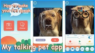 My talking Pet APP Tutorial amp Review [upl. by Oicatsana17]