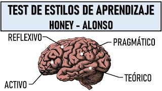 Test de Estilos de Aprendizaje  Honey Alonso Links en la Descripción  Pedagogía MX [upl. by Dorris558]