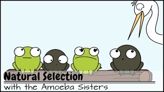 Natural Selection [upl. by Marchelle]