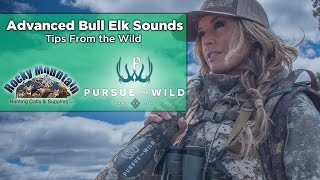 How To Master Elk Bugles with Kristy Titus Elk Call Tips [upl. by Florance62]