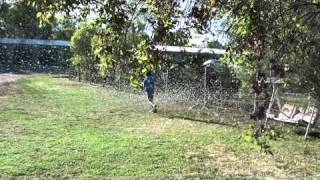 Locust Plague Swarm in Echuca Victoria Australia [upl. by Onailerua888]