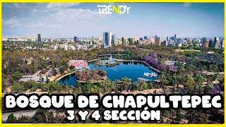 Bosque de Chapultepec SECCION 3 Y 4 [upl. by Aurea757]