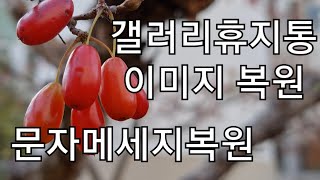 삭제한 파일되살리기 갤러리 와 문자 휴지통 복원 파일복원 이미지복구 문자복구 [upl. by Sclater322]