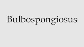 How to Pronounce Bulbospongiosus [upl. by Ecire558]