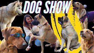 DOG SHOW AHMEDABAD [upl. by Gnort]