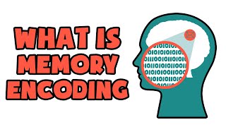 What is Memory Encoding  Explained in 2 min [upl. by Noach185]