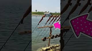 Sambaran Teknik Bleseng fishing mancing [upl. by Carolyne]