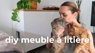 On fabrique un meuble à litière pour chats ensemble 🐈 [upl. by Atileda]