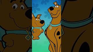 Why ScrappyDoo Was Removed From ScoobyDoo Forever [upl. by Wilt]