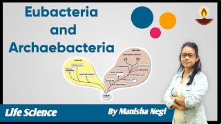 Difference between Eubacteria and Archaebacteria  Manisha Negi  avyan ias academy [upl. by Rufus]