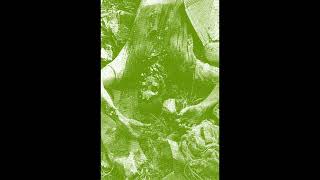 Coffin Vomit  An Influx of Death Stench Full Album [upl. by Rebma290]