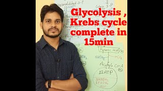 glycolysis Krebs cycle ETS doubt class [upl. by Kapoor312]