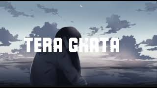 TERA GHATA SONG [upl. by Osy]