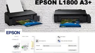 How to Power Flush clean your head for Epson L1800 [upl. by Ahsoet]