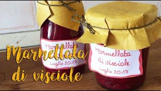 MARMELLATA DI VISCIOLE  AMARENE [upl. by Kcaz]