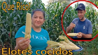 Disfrutando de unos Elotes cocidos en la Milpa que Bendición [upl. by Meter]