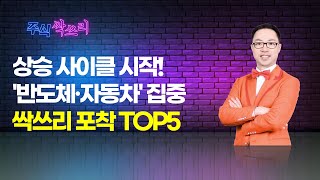 공명 정지우의 주식싹쓰리 상승 사이클 시작 반도체·자동차 집중싹쓰리 포착 TOP5  머니투데이방송 증시 증권 [upl. by Balliett]