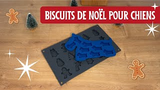 Biscuits de Noël faits maison pour votre chien 🐾🎄 [upl. by Dlawso793]