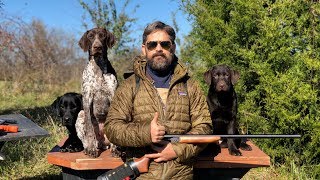 Labrador Retriever Training  Raising an Awesome Family Dog That Goes Hunting Sometimes [upl. by Anuahsed]