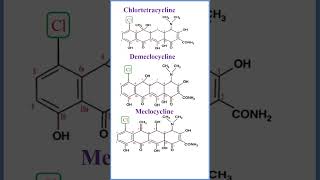 7 Tetracyclines  Phototoxicity of Tetracyclines  Antibiotics  Shorts  prema anandan [upl. by Ettenhoj845]