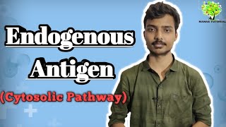 Endogenous Antigen  Cytosolic Pathway  Manas Mishra [upl. by Kleon316]