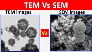 SEM Vs TEM [upl. by Anyk]