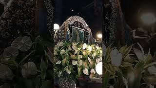 2nd Manila Grand Marian Procession 2024 [upl. by Neicul]