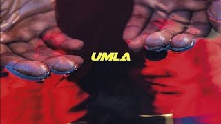 Alpha Wann x Romsii  UMLA Remix [upl. by Ahsoek]