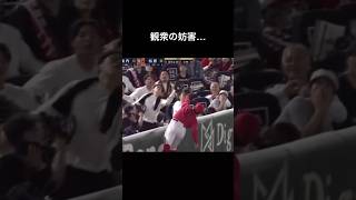 観客が選手と接触してファールボールを取ってしまうプロ野球 おすすめ shorts funny [upl. by Kirwin]