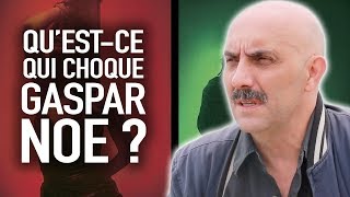 Gaspar Noé  quotUn bad trip dacide non désiré peut être traumatisant quot [upl. by Stilla]