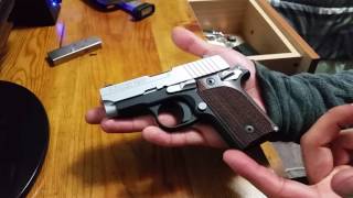 SIG P238 quick view and disassemblyassembly [upl. by Nerot286]