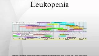 Leukopenia [upl. by Nibur]