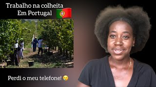 TRABALHEI NA COLHEITA EM PORTUGAL 🇵🇹 🤭 [upl. by Querida]