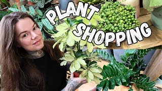 PLANT SHOPPING UK  Indoor Plant Haul [upl. by Garland]