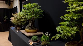 Danish Bonsai Exhibition [upl. by Quinta]